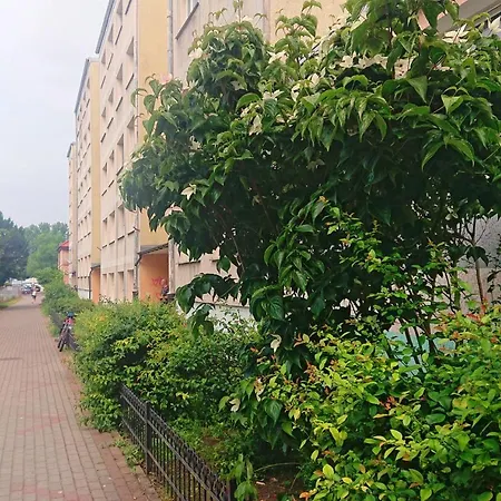Apartament Navigare Appartamento *
